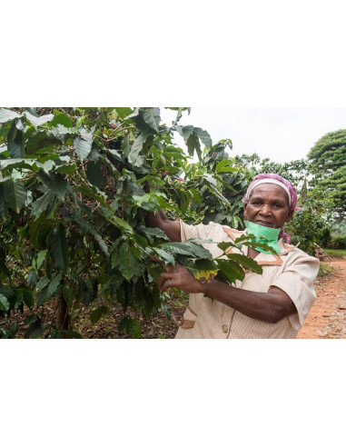 GourmetKáva Specialty - Kenya Nyeri 250g