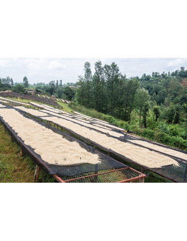 GourmetKáva Specialty - Kenya Nyeri 250g