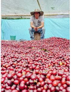 Fathers Coffee Colombia Inza 250g 2