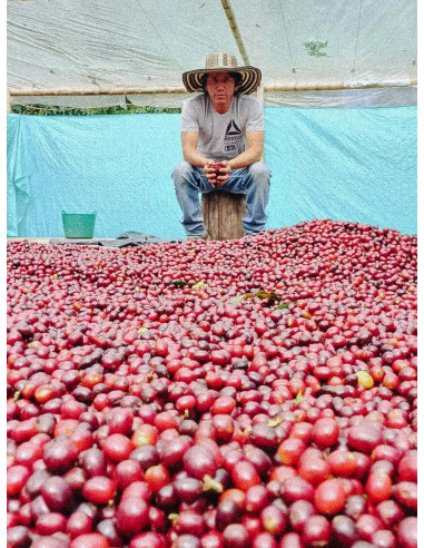 Fathers Coffee Kolumbie Inza 250g