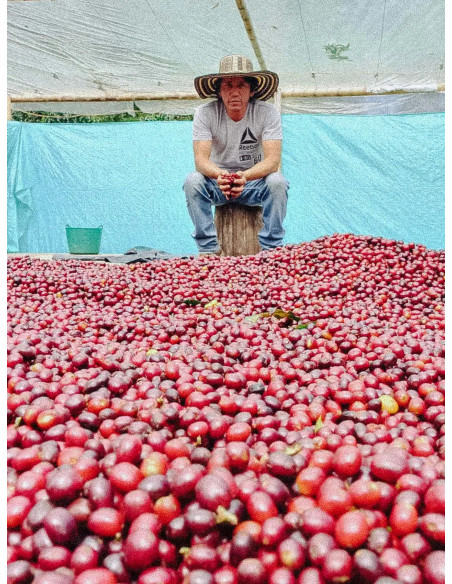 Fathers Coffee Kolumbie Inza 300g