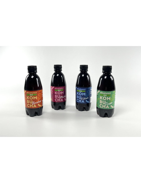 Allnature Kombucha Klasik BIO 330 ml