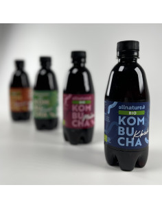Allnature Kombucha Klasik BIO 330 ml 2