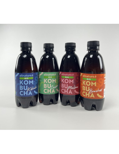 Allnature Kombucha Klasik BIO 330 ml