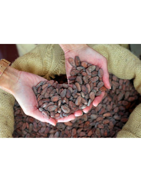 Mléčná čokoláda Bonnat Noisettes 55% s lískovými oříšky