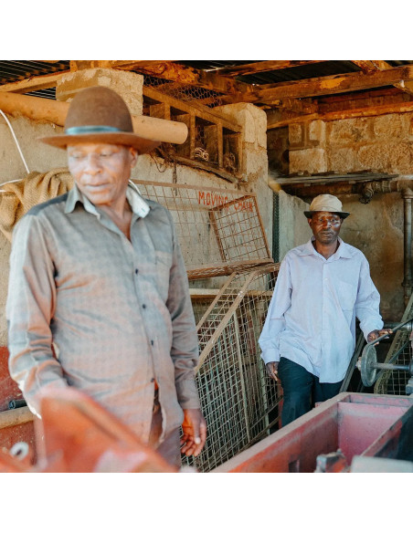 Nordbeans Rodolfina - Filtr 250g