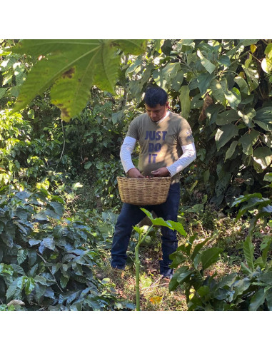 Nordbeans Rodolfo - ESP 250g