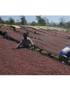 Coffee Francin Kenya Ndundu 250 g 2