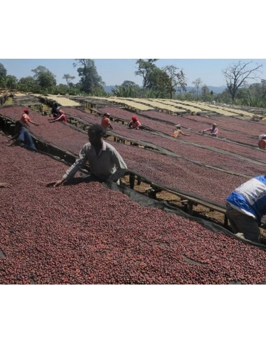 Coffee Francin Kenya Ndundu 250 g