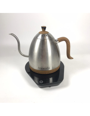 Stainless steel kettle Brewista - Used/Discounted