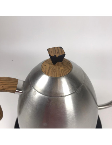Stainless steel kettle Brewista - Used/Discounted