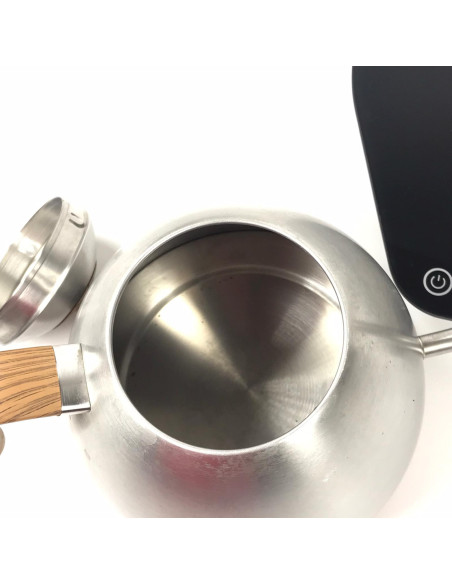 Stainless steel kettle Brewista - Used/Discounted