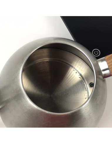 Stainless steel kettle Brewista - Used/Discounted