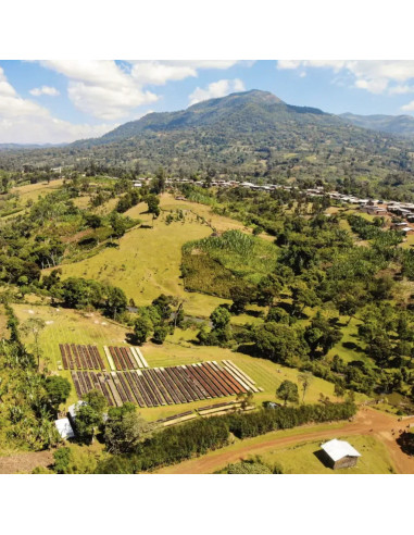 Nordbeans Keramo Natural Ethiopia 250g