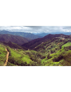 GourmetCoffee Specialty Peru Huabal 250g 2