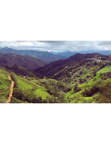 GourmetKáva Specialty Peru Huabal 250g