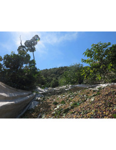 GourmetKáva Specialty  Brasil Vermelha ESP 250g 2