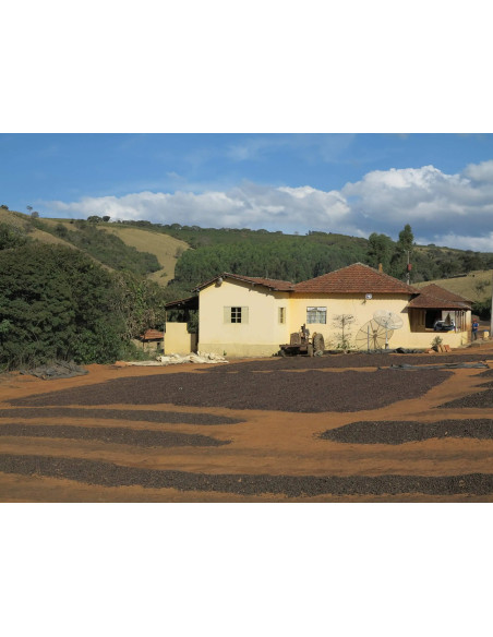 GourmetCoffee Specialty Brasil Vermelha ESP 250g