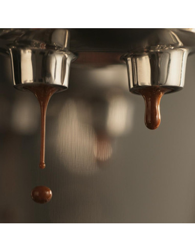 Lever coffee machine SAGE THE BAMBINO™ PLUS SES500BTR