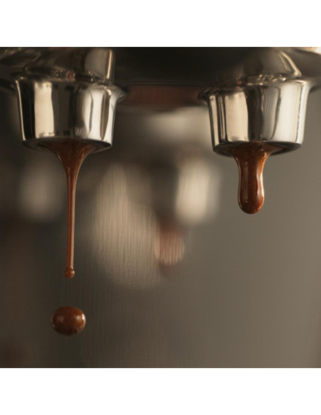 Lever coffee machine SAGE THE BAMBINO™ PLUS SES500BTR