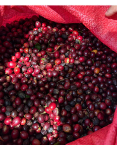 Beansmiths Nicaragua Los Papales 250g 2