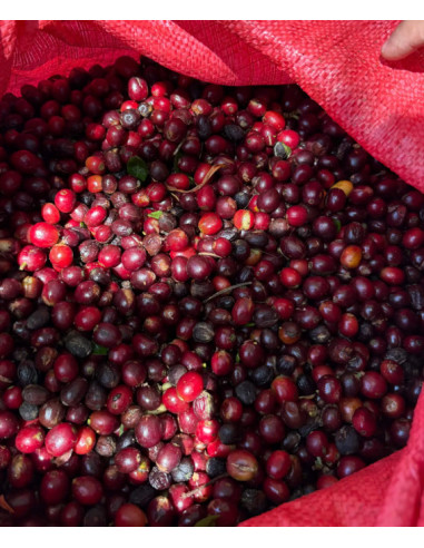 Beansmiths Nicaragua Los Papales 250g