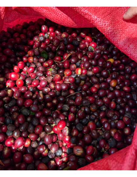 Beansmiths Nicaragua Los Papales 250g