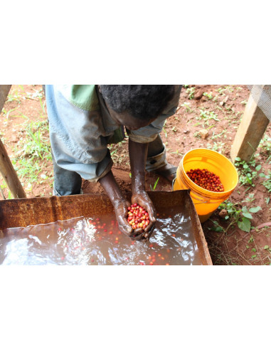 GourmetKáva Specialty Burundi Yandaro 250g