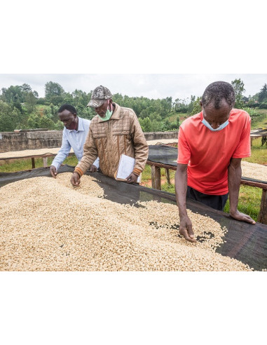 GourmetKáva Specialty - ESP Kenya Nyeri 250g