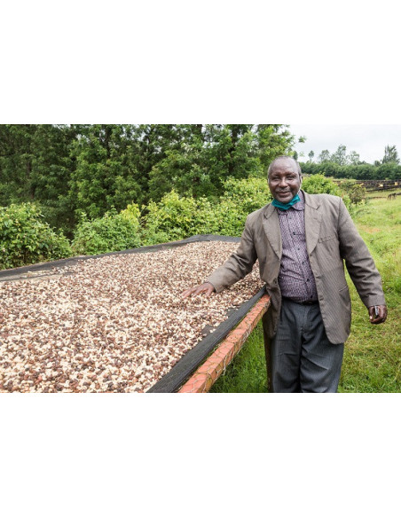 GourmetKáva Specialty - ESP Kenya Nyeri 250g