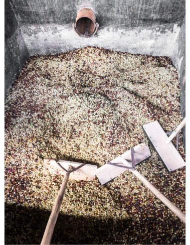 GourmetKáva Specialty - Kenya Kiri 250g