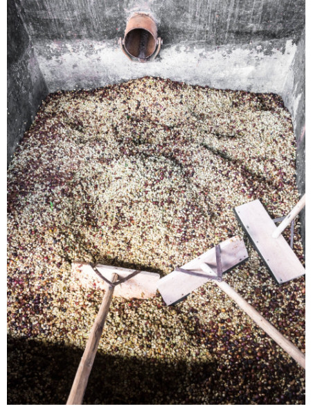 GourmetKáva Specialty - Kenya Kiri 250g