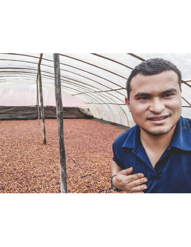Kafe Francin Kolumbie Finca La Providencia De Jeshua 250g