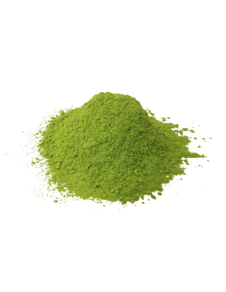 Matcha