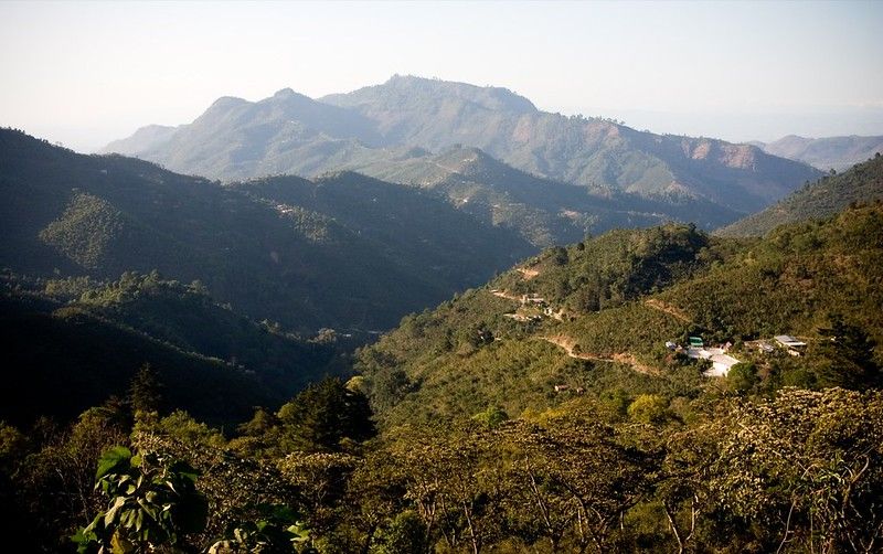 Guatemala Trés Maria, zrnková káva arabica - Obrázek 3