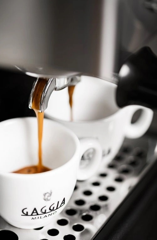 Pákový kávovar GAGGIA Classic EVO E24 - Obrázek 5