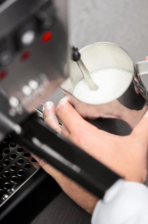 Pákový kávovar GAGGIA Classic EVO E24 - Obrázek 6