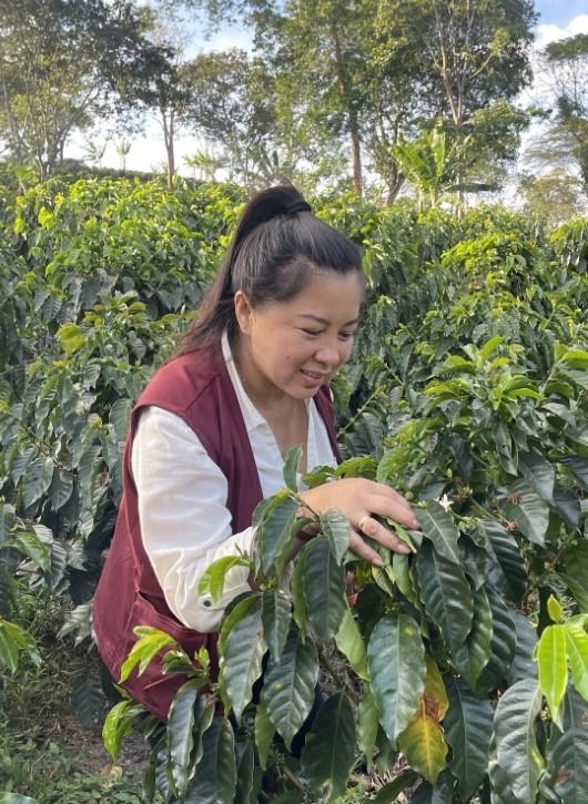 GourmetKáva Specialty Kolumbie D. Sambony 250g