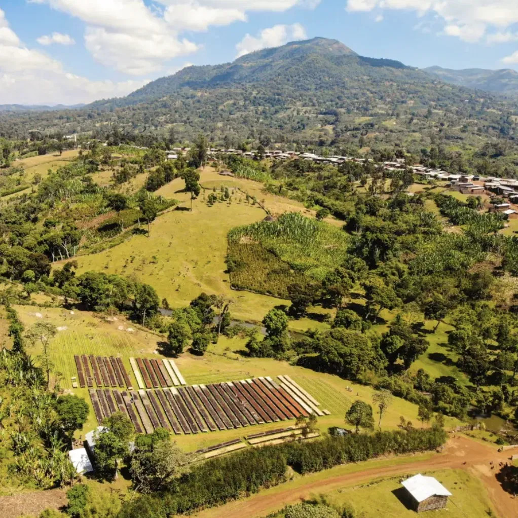 Nordbeans Keramo Natural Etiopie 250g