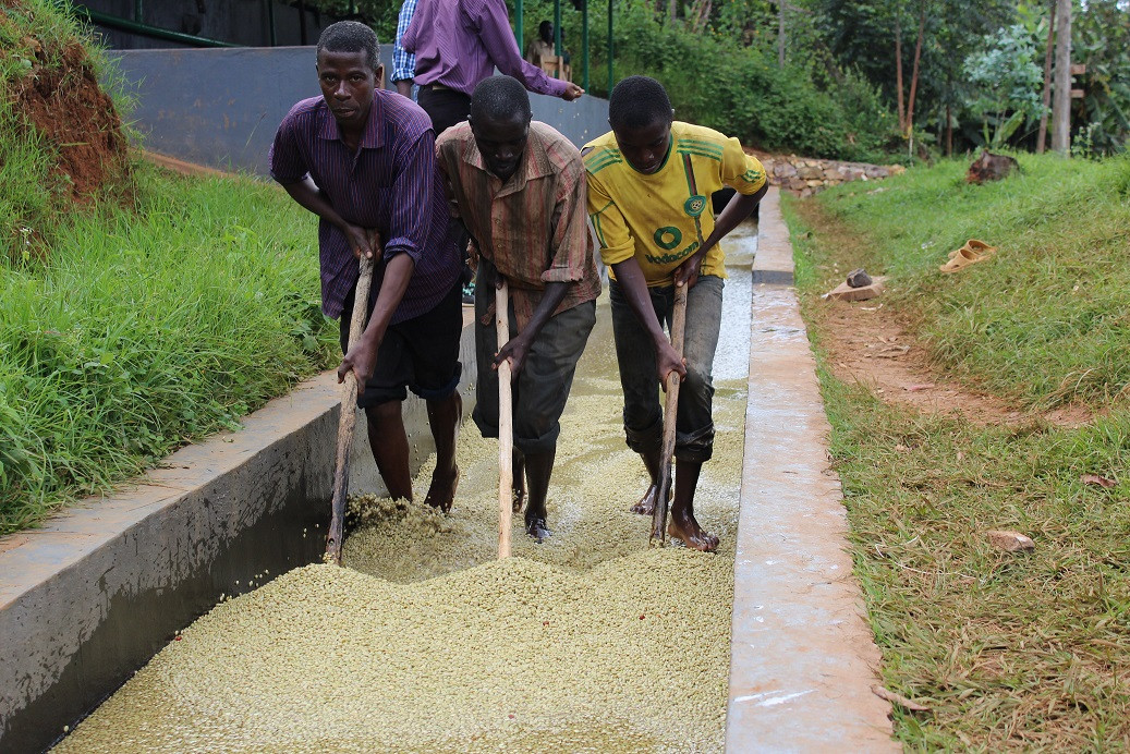GourmetKáva Specialty Burundi Yandaro 250g (obrázek 7)