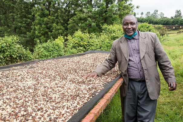 GourmetKáva Specialty - ESP Kenya Nyeri 250g (obrázek 7)