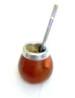 Yerba Maté