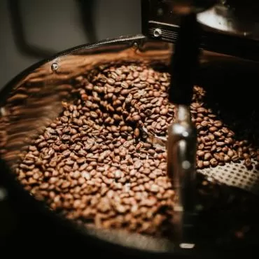 Kdo jsou největší světoví producenti kávy?