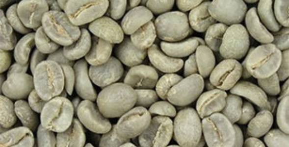 Zelená káva - káva na hubnutí i jako prevence