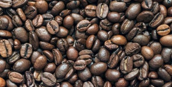 Druhy kávovníků a produkce kávy