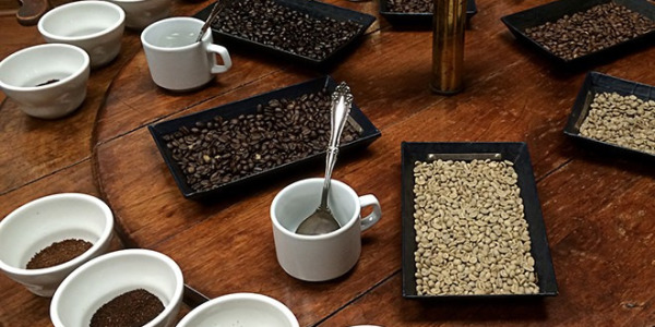 Příprava domácího cuppingu - ochutnávky kávy