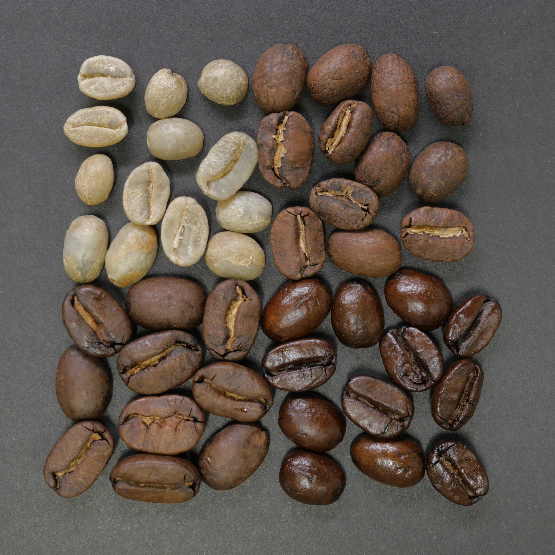 Comparison of Arabica coffee vs. Robusta coffee